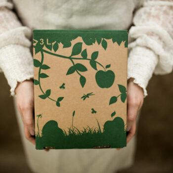 Apfel-Birnen Saft 3 l