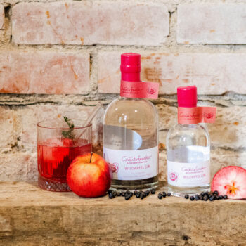 wildapfel gin 200 ml
